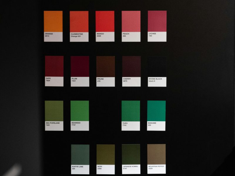 harrison-chang-ph3zO3lq3CU-unsplash